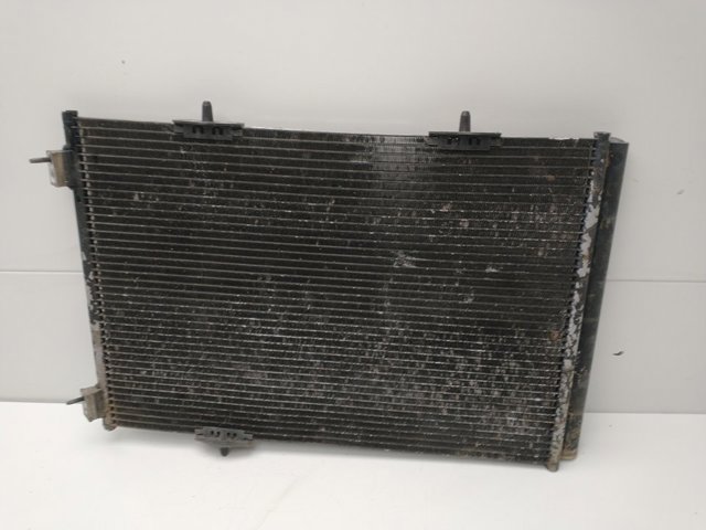 9650894080 Peugeot/Citroen