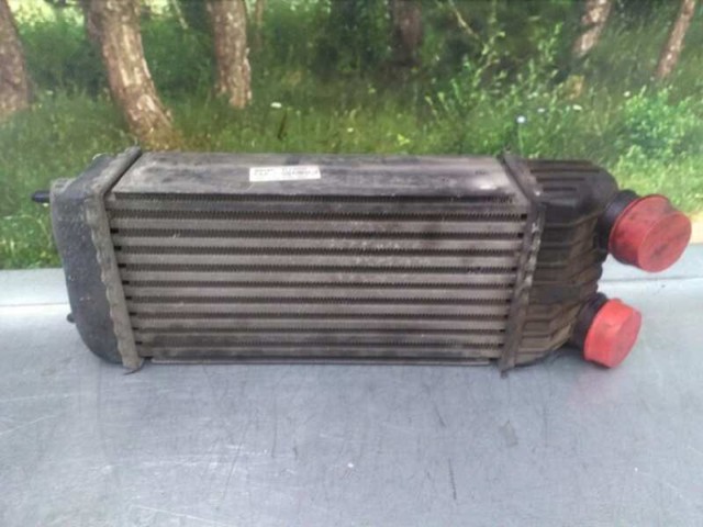 9651184880 Peugeot/Citroen