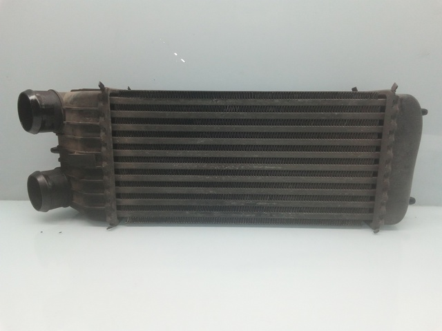 9651184880 Peugeot/Citroen