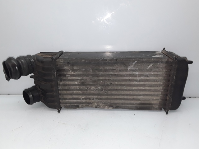 9651184880 Peugeot/Citroen