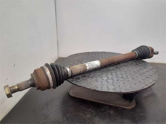9651309880 Peugeot/Citroen