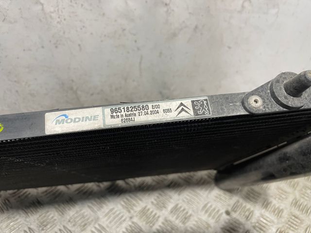9651825580 Peugeot/Citroen