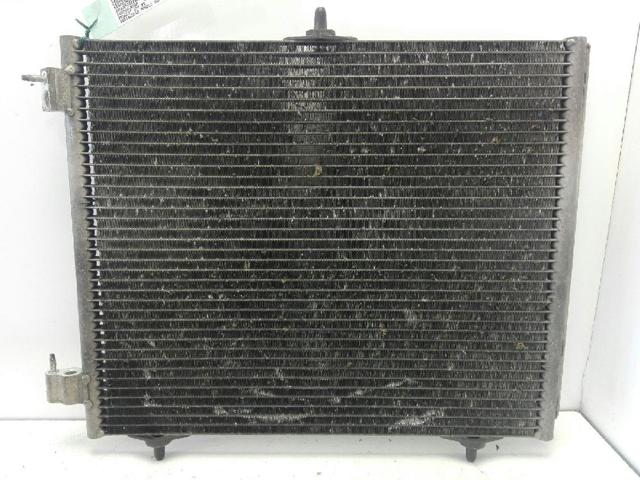 9651825580 Peugeot/Citroen