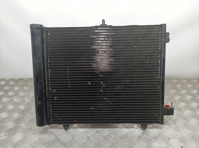 9651825580 Peugeot/Citroen