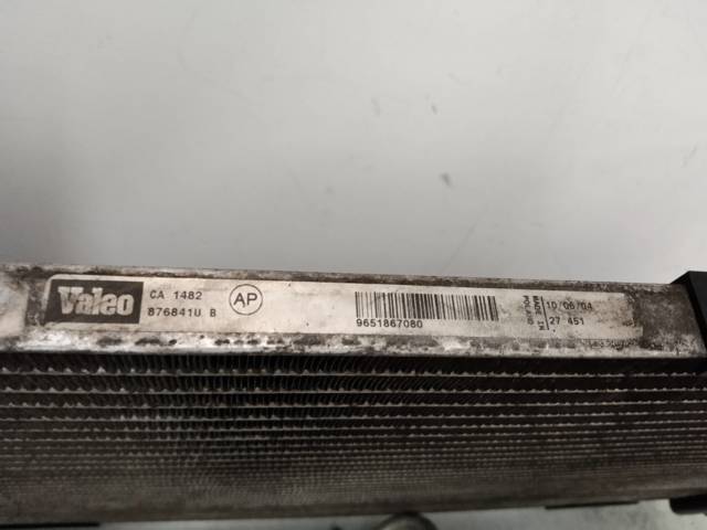 9651867080 Peugeot/Citroen