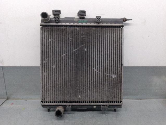 9653026580 Peugeot/Citroen
