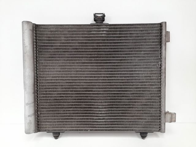 9653035980 Peugeot/Citroen