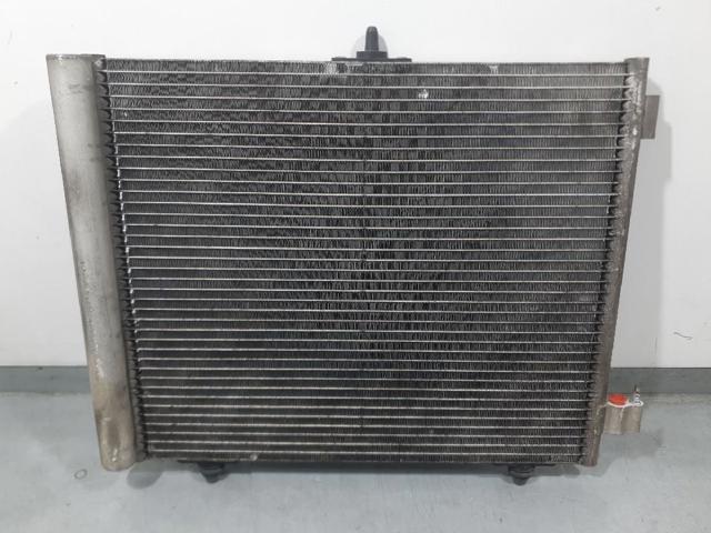 9653035980 Peugeot/Citroen