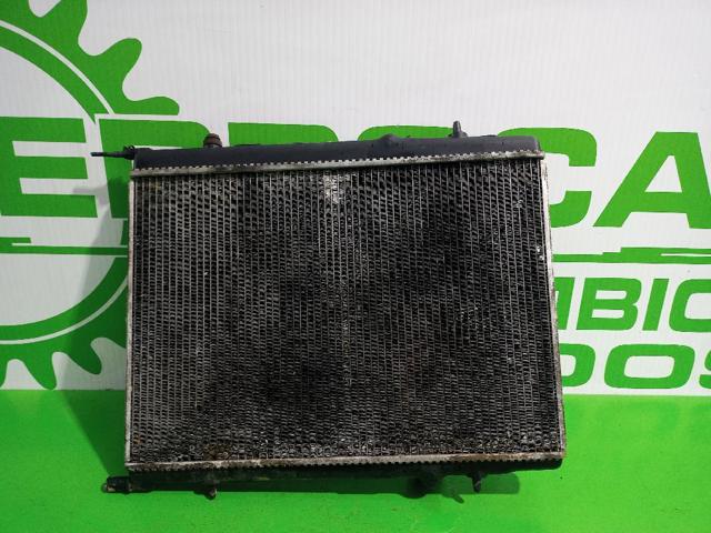 9653692180 Peugeot/Citroen