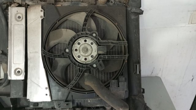 9653804080 Peugeot/Citroen