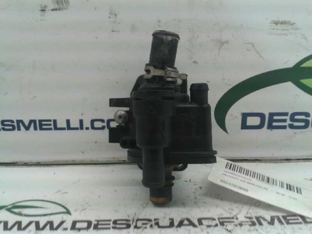 Termostat Citroen C3