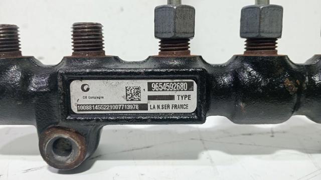 9654592680 Peugeot/Citroen