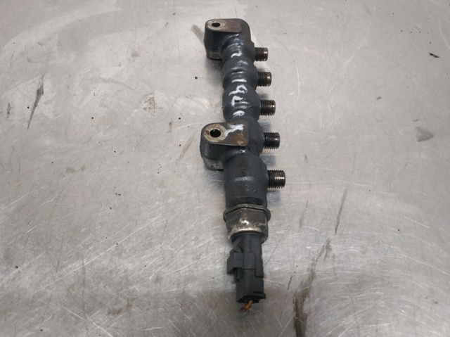 9654592680 Peugeot/Citroen