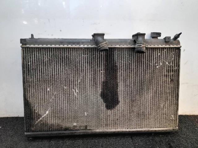 9654674480 Peugeot/Citroen
