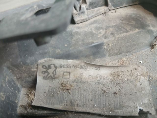 9655764380 Peugeot/Citroen
