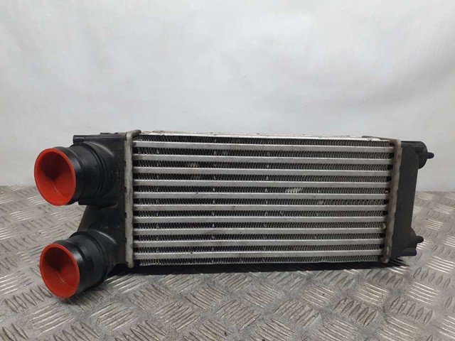 9656503480 Peugeot/Citroen