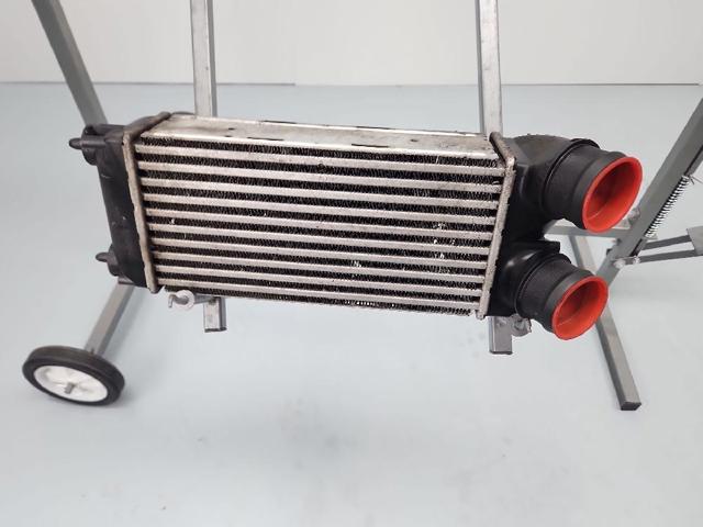 9656503480 Peugeot/Citroen