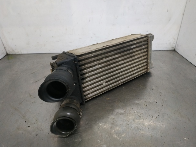 9656503980 Peugeot/Citroen