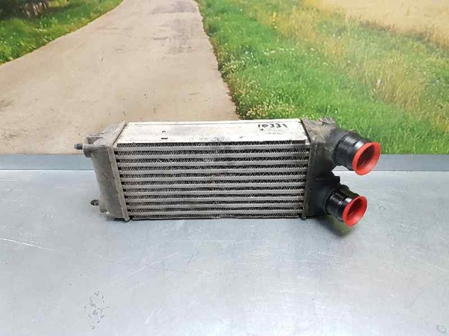 9656503980 Peugeot/Citroen