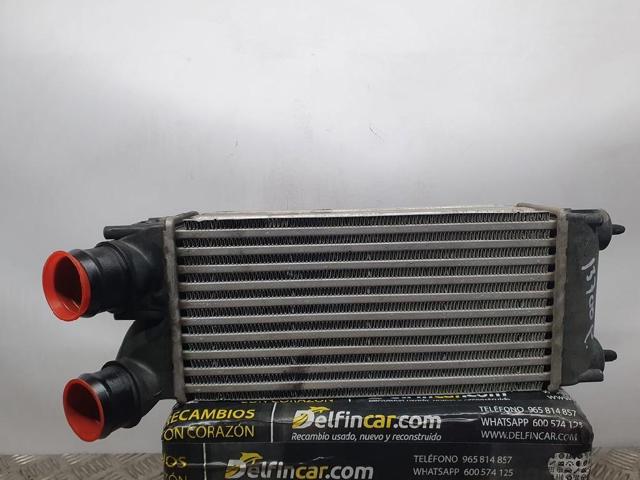 9656503980 Peugeot/Citroen