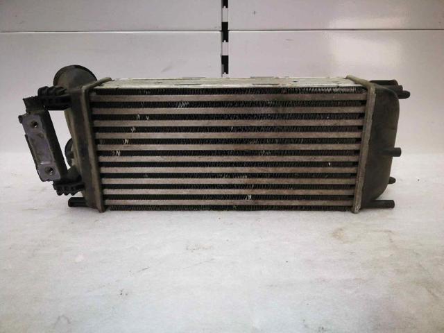 9656503980 Peugeot/Citroen