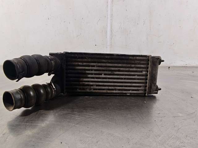 9656503980 Peugeot/Citroen