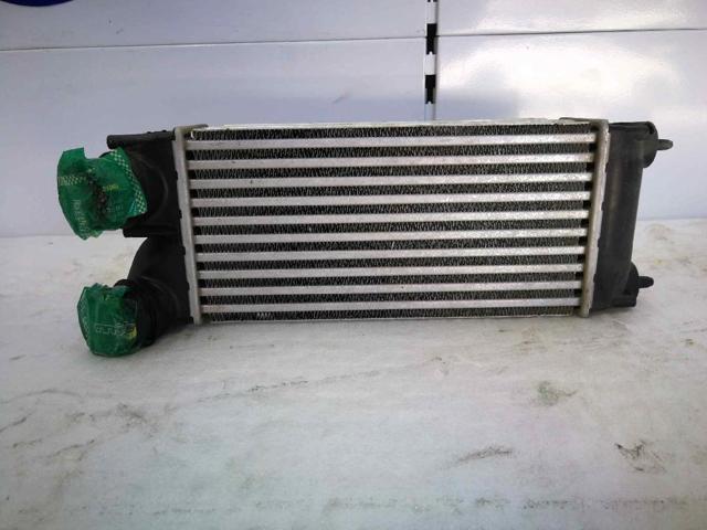 9656503980 Peugeot/Citroen