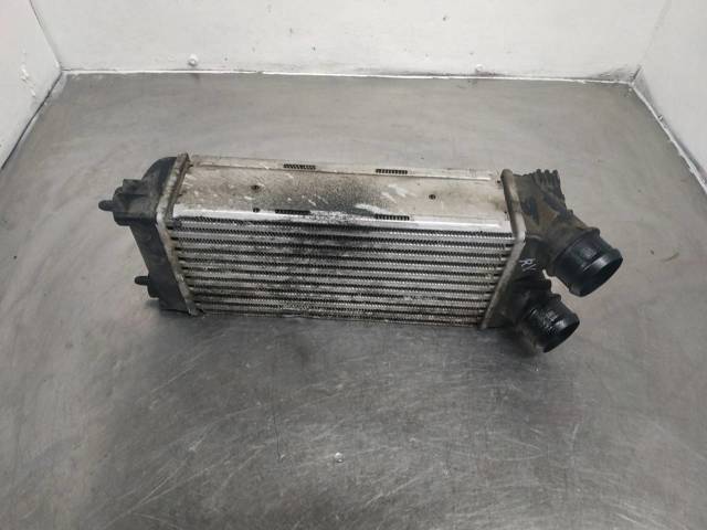 9656503980 Peugeot/Citroen