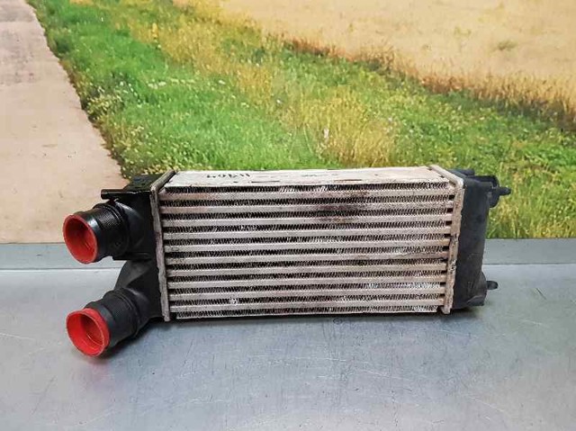9656503980 Peugeot/Citroen