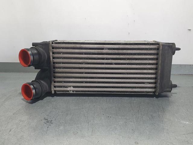 9656503980 Peugeot/Citroen