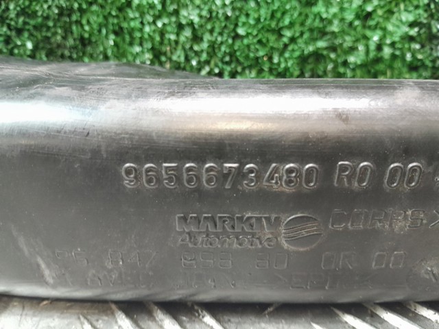 9656673480 Peugeot/Citroen