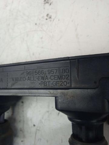 9656695780 Peugeot/Citroen