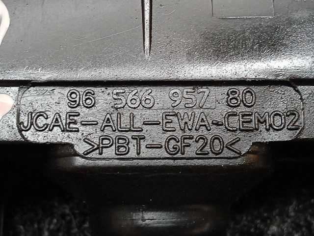 9656695780 Peugeot/Citroen