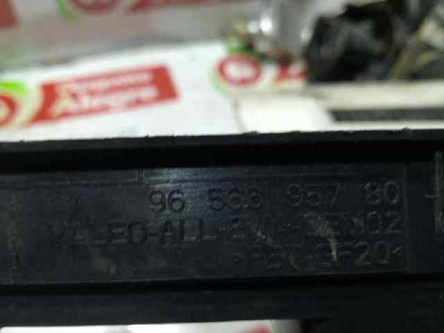 9656695780 Peugeot/Citroen