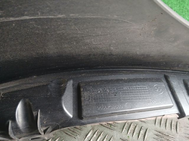 9656738580 Peugeot/Citroen