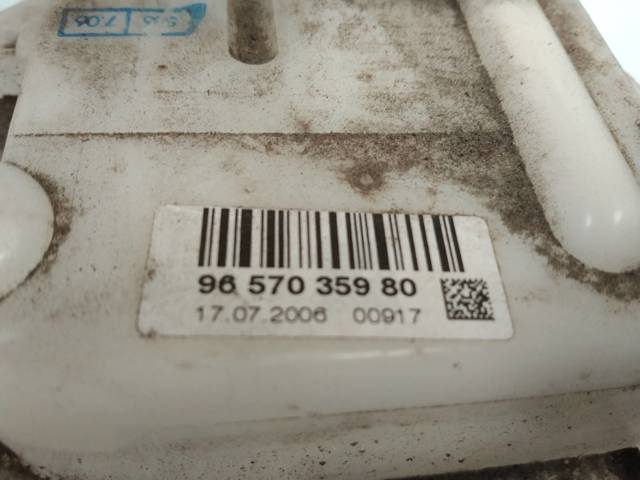 9657035980 Peugeot/Citroen