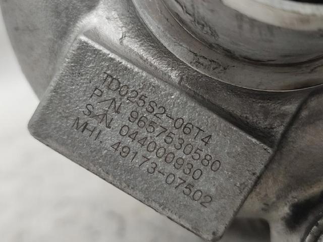 9657530580 Peugeot/Citroen