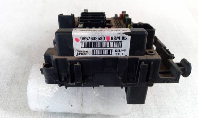 9657608580 Peugeot/Citroen