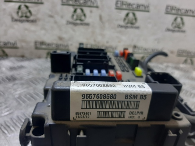 9657608580 Peugeot/Citroen
