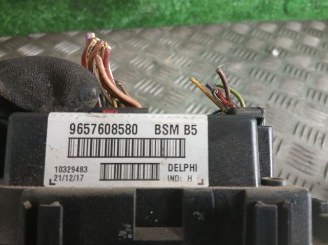 9657608580 Peugeot/Citroen