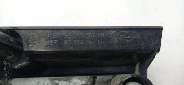 9657976980 Peugeot/Citroen