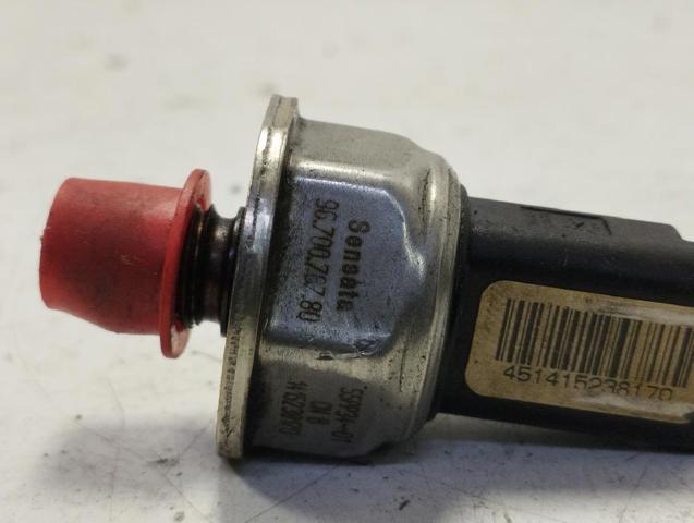 9658227880 Peugeot/Citroen