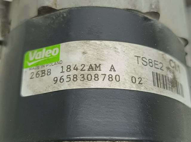 9658308780 Peugeot/Citroen