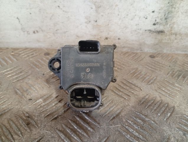 9658508980 Peugeot/Citroen