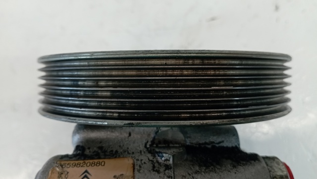 9659820880 Peugeot/Citroen