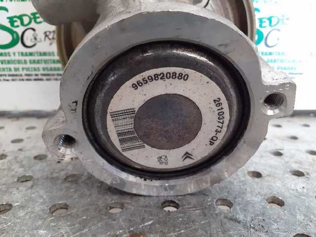 9659820880 Peugeot/Citroen