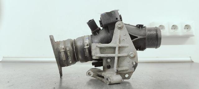Przepustnica, komplet 9660030480 PEUGEOT