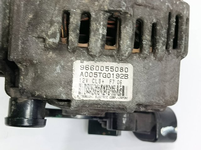 9660055080 Peugeot/Citroen