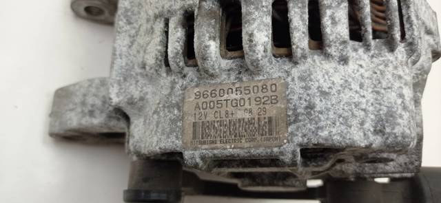 9660055080 Peugeot/Citroen