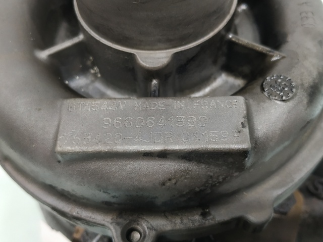 9660641380 Peugeot/Citroen